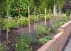 Landscapes for your home in Richmond, VA