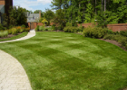 Yard Maintenance