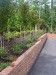 Driveway Planting