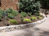 Rear Foundation Plantings