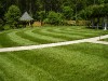 Backyard Well Maintained Turf
