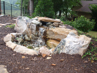 pondless2