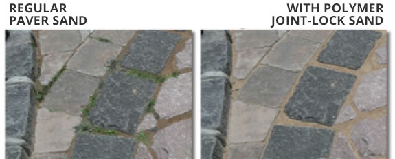 grass-between-pavers-polymer-sand